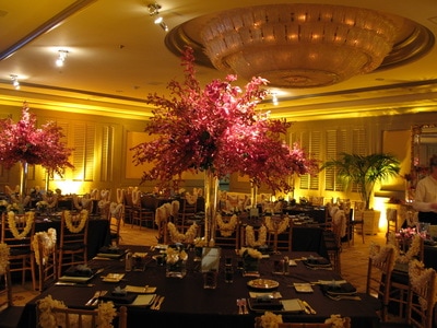 Amber LED Up-lights in the Hibiscus Room at the Four Seasons Resort Wailea in Maui